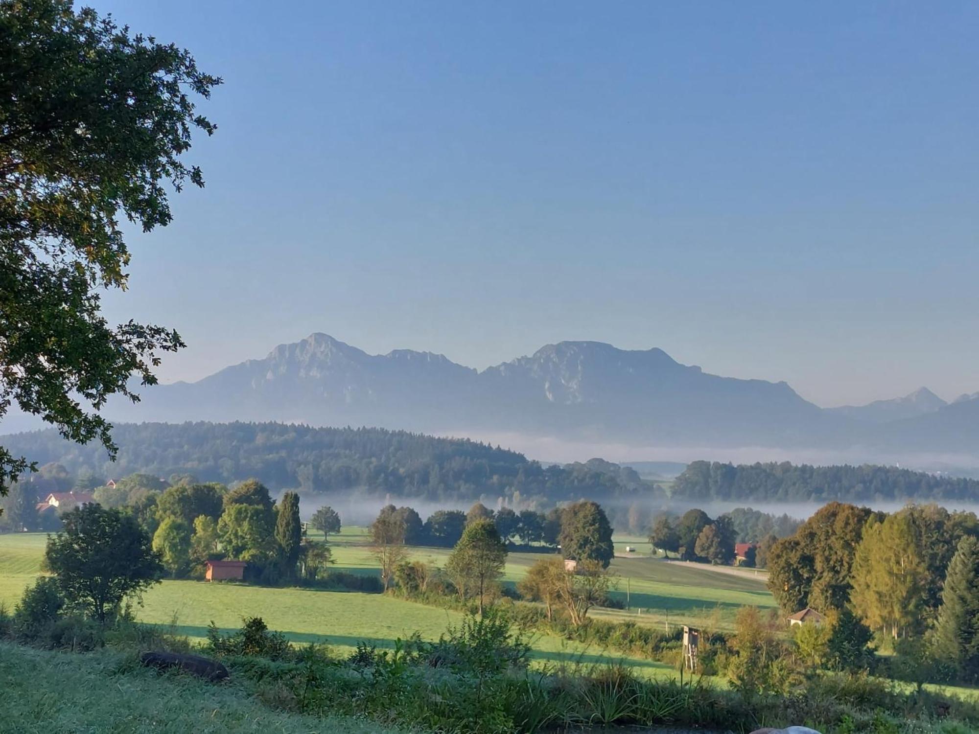 Resch * Laufen