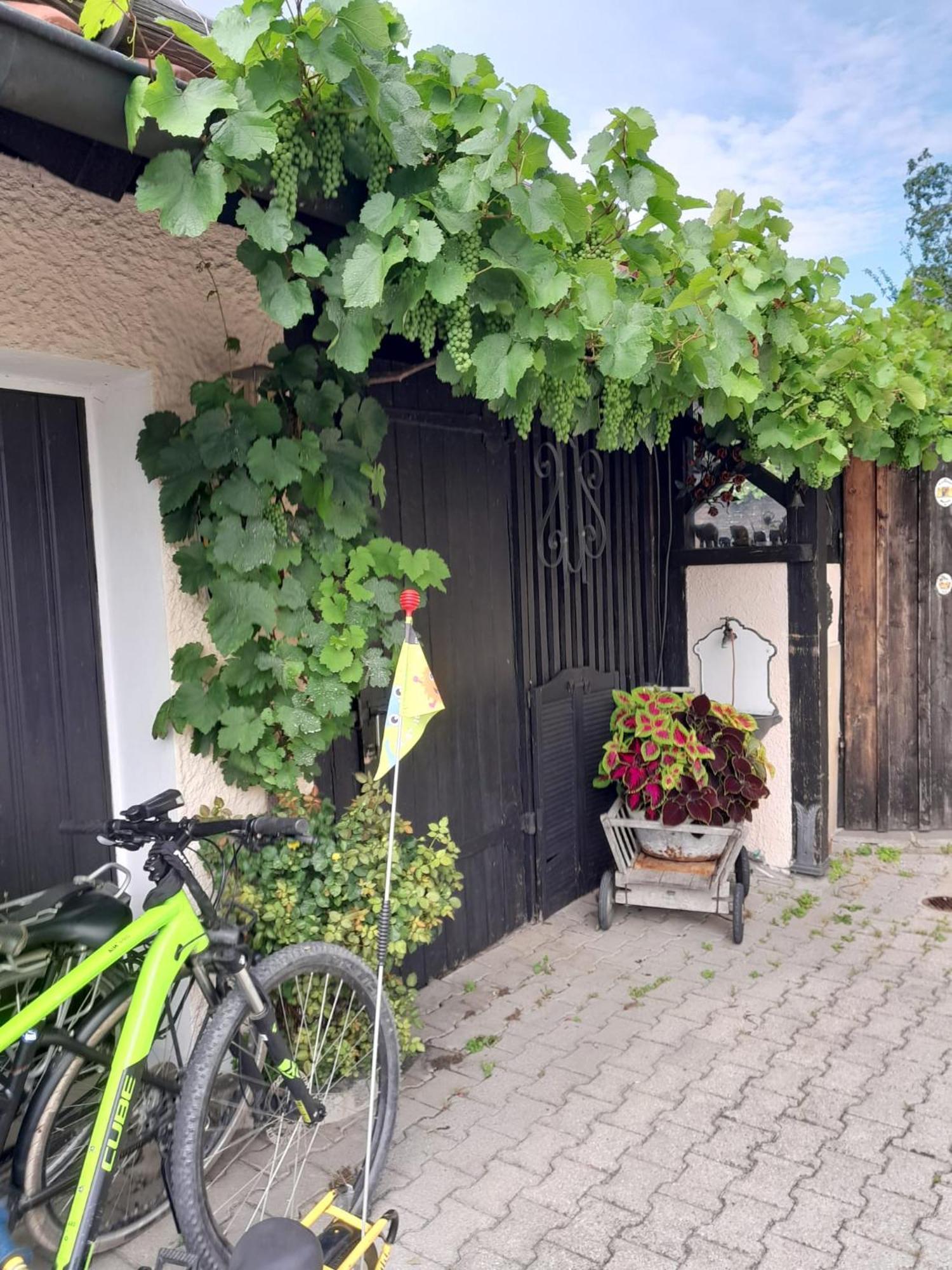 Apartment Resch *